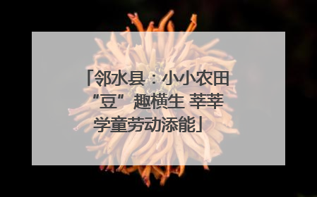 邻水县：小小农田“豆”趣横生 莘莘学童劳动添能
