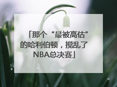 那个“最被高估”的哈利伯顿，搅乱了NBA总决赛