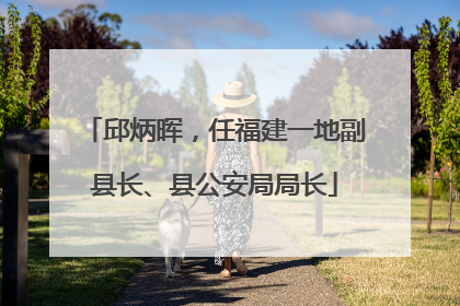 邱炳晖，任福建一地副县长、县公安局局长