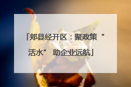 郏县经开区：聚政策“活水” 助企业远航