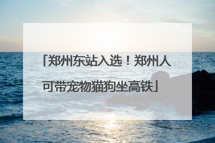 郑州东站入选！郑州人可带宠物猫狗坐高铁