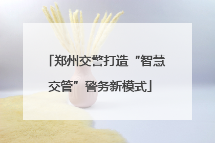 郑州交警打造“智慧交管”警务新模式
