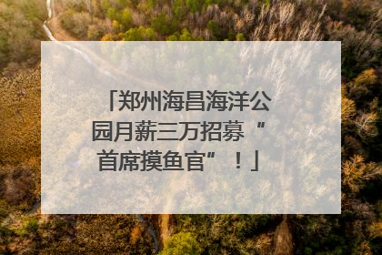 郑州海昌海洋公园月薪三万招募“首席摸鱼官”！
