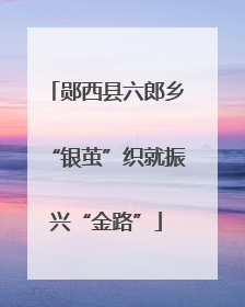 郧西县六郎乡“银茧”织就振兴“金路”