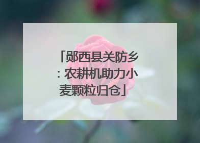 郧西县关防乡：农耕机助力小麦颗粒归仓