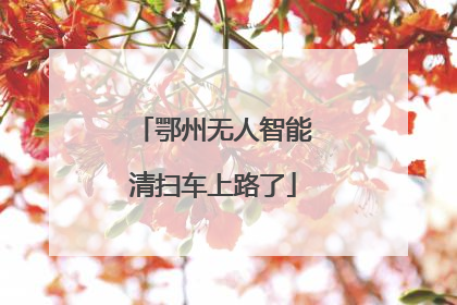 鄂州无人智能清扫车上路了