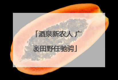 酒泉新农人 广袤田野任驰骋