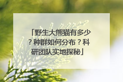 野生大熊猫有多少？种群如何分布？科研团队实地探秘