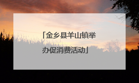 金乡县羊山镇举办促消费活动
