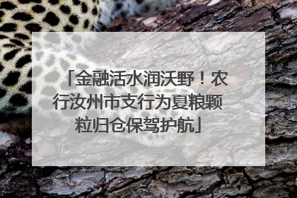 金融活水润沃野！农行汝州市支行为夏粮颗粒归仓保驾护航