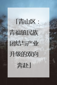 青山区：青福镇民族团结与产业升级的双向奔赴