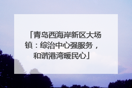 青岛西海岸新区大场镇：综治中心强服务，和谐港湾暖民心