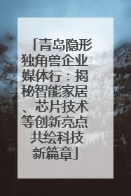 青岛隐形独角兽企业媒体行：揭秘智能家居、芯片技术等创新亮点 共绘科技新篇章