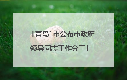 青岛1市公布市政府领导同志工作分工