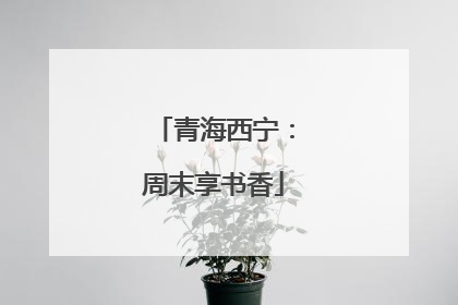 青海西宁：周末享书香