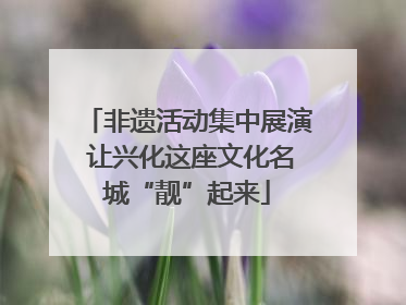 非遗活动集中展演 让兴化这座文化名城“靓”起来