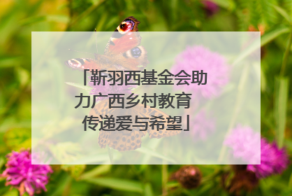 靳羽西基金会助力广西乡村教育 传递爱与希望