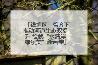 钱塘区三管齐下推动河道生态双提升 绘就“水清岸绿景美”新画卷