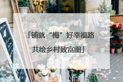 铺就“梅”好幸福路 共绘乡村致富图