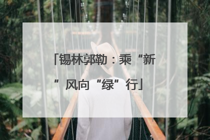 锡林郭勒：乘“新”风向“绿”行