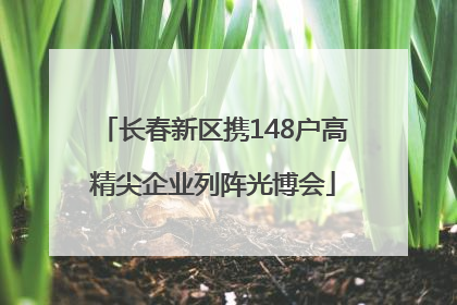 长春新区携148户高精尖企业列阵光博会