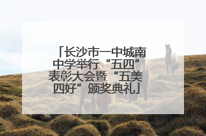 长沙市一中城南中学举行“五四”表彰大会暨“五美四好”颁奖典礼