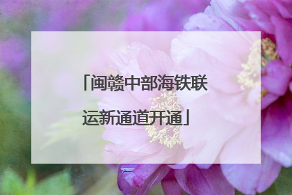 闽赣中部海铁联运新通道开通