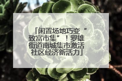 闲置场地巧变“致富市集”！罗雄街道南城集市激活社区经济新活力