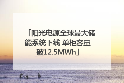 阳光电源全球最大储能系统下线 单柜容量破12.5MWh