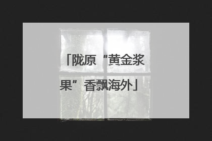 陇原“黄金浆果”香飘海外
