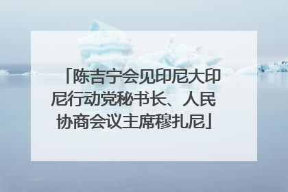陈吉宁会见印尼大印尼行动党秘书长、人民协商会议主席穆扎尼