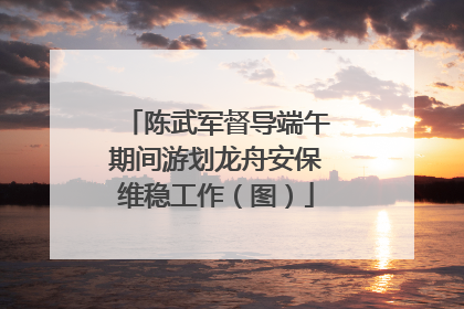 陈武军督导端午期间游划龙舟安保维稳工作（图）