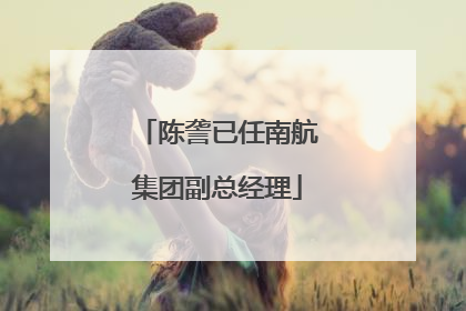 陈詟已任南航集团副总经理