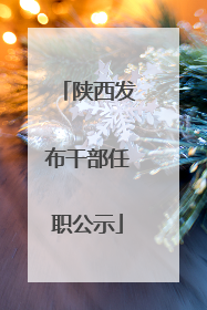 陕西发布干部任职公示