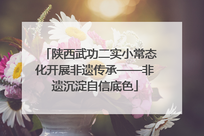 陕西武功二实小常态化开展非遗传承——非遗沉淀自信底色