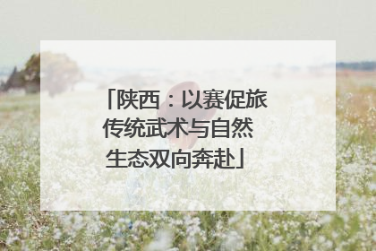 陕西：以赛促旅 传统武术与自然生态双向奔赴