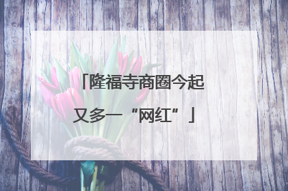 隆福寺商圈今起又多一“网红”