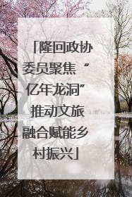 隆回政协委员聚焦“亿年龙洞” 推动文旅融合赋能乡村振兴