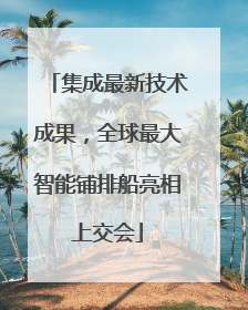 集成最新技术成果，全球最大智能铺排船亮相上交会