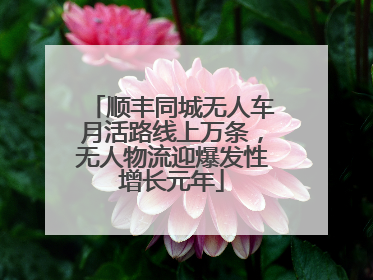 顺丰同城无人车月活路线上万条，无人物流迎爆发性增长元年