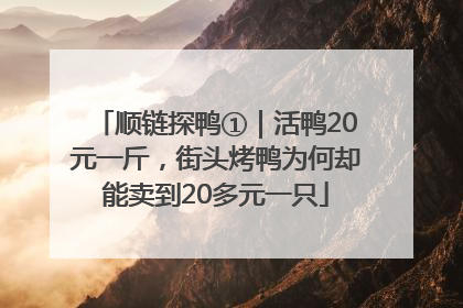 顺链探鸭①｜活鸭20元一斤，街头烤鸭为何却能卖到20多元一只