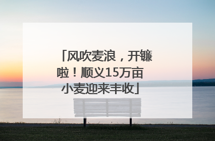 风吹麦浪，开镰啦！顺义15万亩小麦迎来丰收