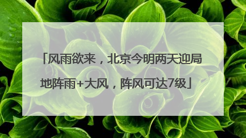 风雨欲来，北京今明两天迎局地阵雨+大风，阵风可达7级