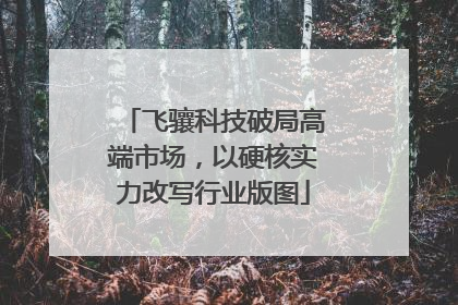 飞骧科技破局高端市场，以硬核实力改写行业版图
