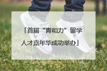 首届“青和力”留学人才嘉年华成功举办