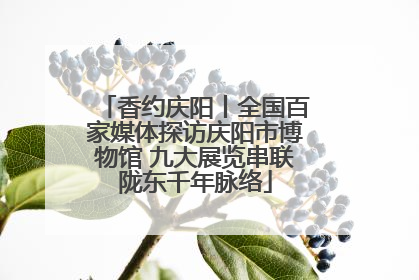 香约庆阳丨全国百家媒体探访庆阳市博物馆 九大展览串联陇东千年脉络