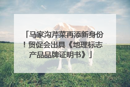 马家沟芹菜再添新身份！贸促会出具《地理标志产品品牌证明书》