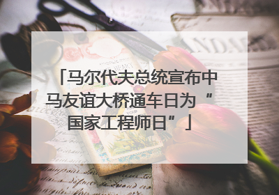马尔代夫总统宣布中马友谊大桥通车日为“国家工程师日”