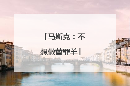 马斯克：不想做替罪羊