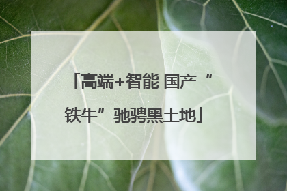 高端+智能 国产“铁牛”驰骋黑土地